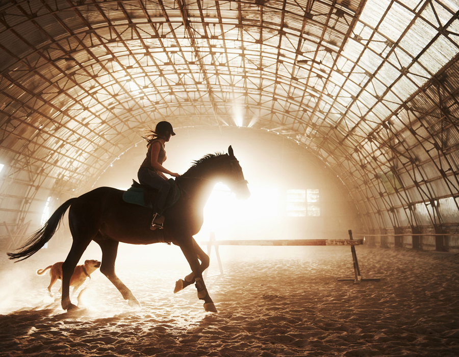 Procédure d’épandage - Pour maneges a chevaux avec Multi Routes Inc.