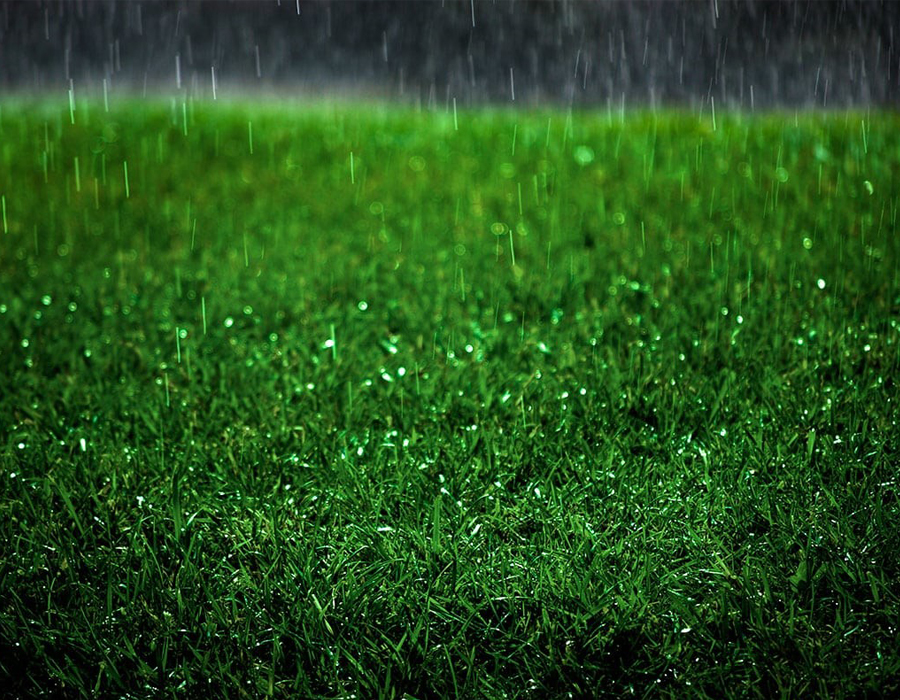 Pelouses et fleurs - Arrosage, Multi Routes Inc.